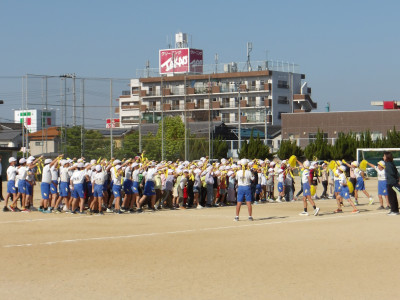 IMGP0643
