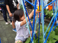 IMGP0298