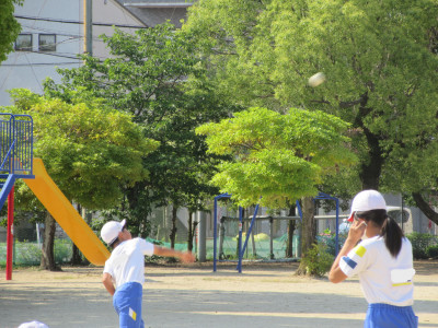 IMG_3392