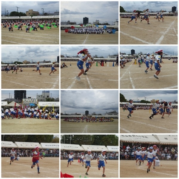 ホーム 松山市立椿小学校